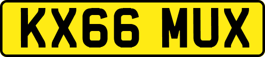 KX66MUX