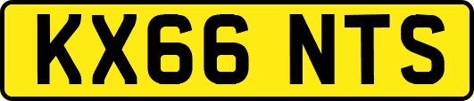 KX66NTS