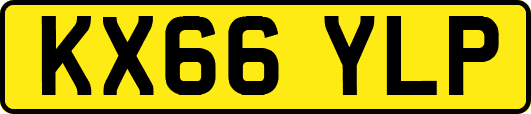 KX66YLP