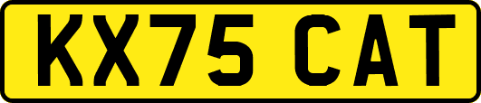KX75CAT