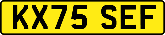 KX75SEF