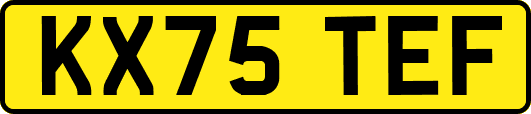 KX75TEF