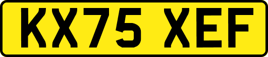 KX75XEF