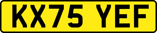 KX75YEF