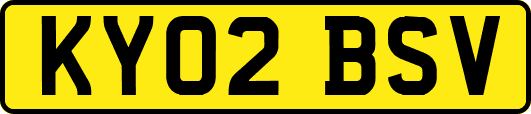 KY02BSV