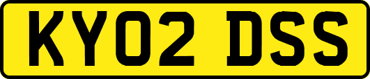 KY02DSS