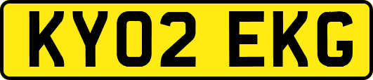 KY02EKG