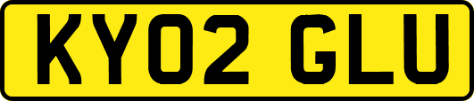 KY02GLU