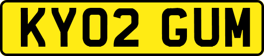 KY02GUM