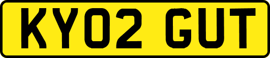 KY02GUT