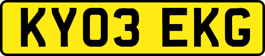 KY03EKG