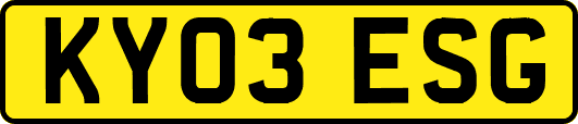 KY03ESG