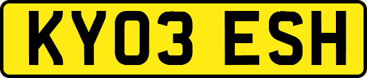 KY03ESH