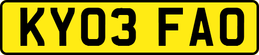 KY03FAO
