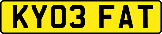 KY03FAT