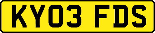 KY03FDS