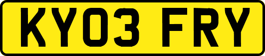 KY03FRY