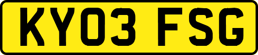 KY03FSG