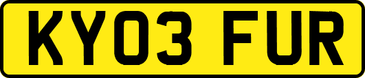 KY03FUR