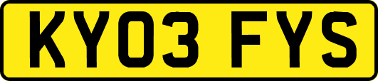 KY03FYS