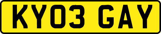 KY03GAY