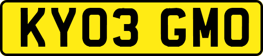 KY03GMO