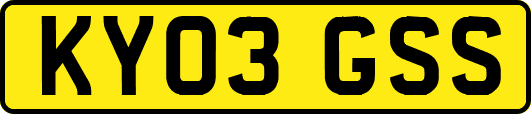 KY03GSS