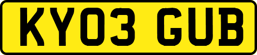 KY03GUB