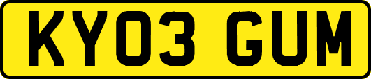 KY03GUM