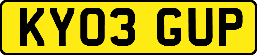 KY03GUP
