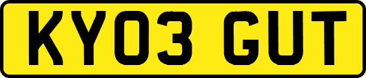 KY03GUT