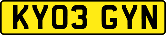 KY03GYN