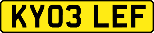 KY03LEF