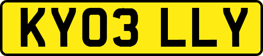 KY03LLY