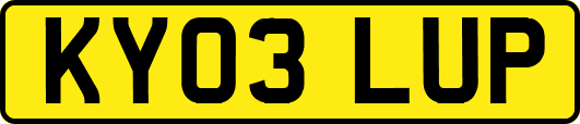 KY03LUP