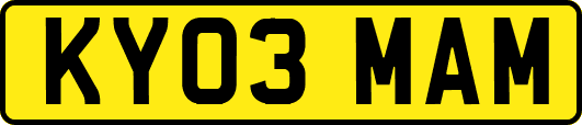 KY03MAM