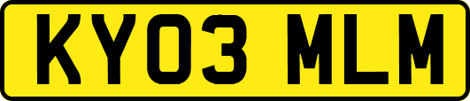 KY03MLM