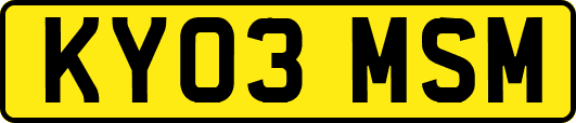 KY03MSM