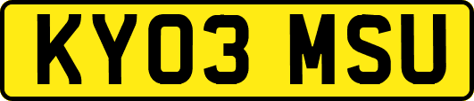 KY03MSU