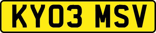 KY03MSV