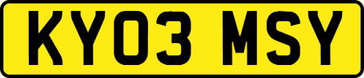 KY03MSY