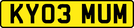 KY03MUM