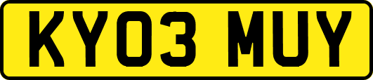KY03MUY