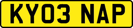 KY03NAP