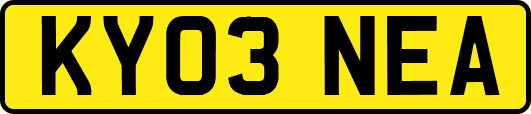 KY03NEA