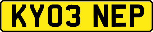 KY03NEP