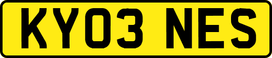 KY03NES