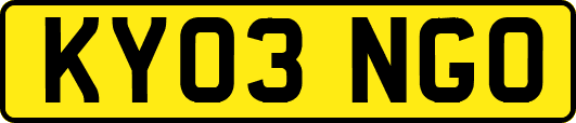 KY03NGO