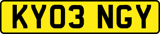 KY03NGY