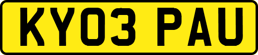 KY03PAU